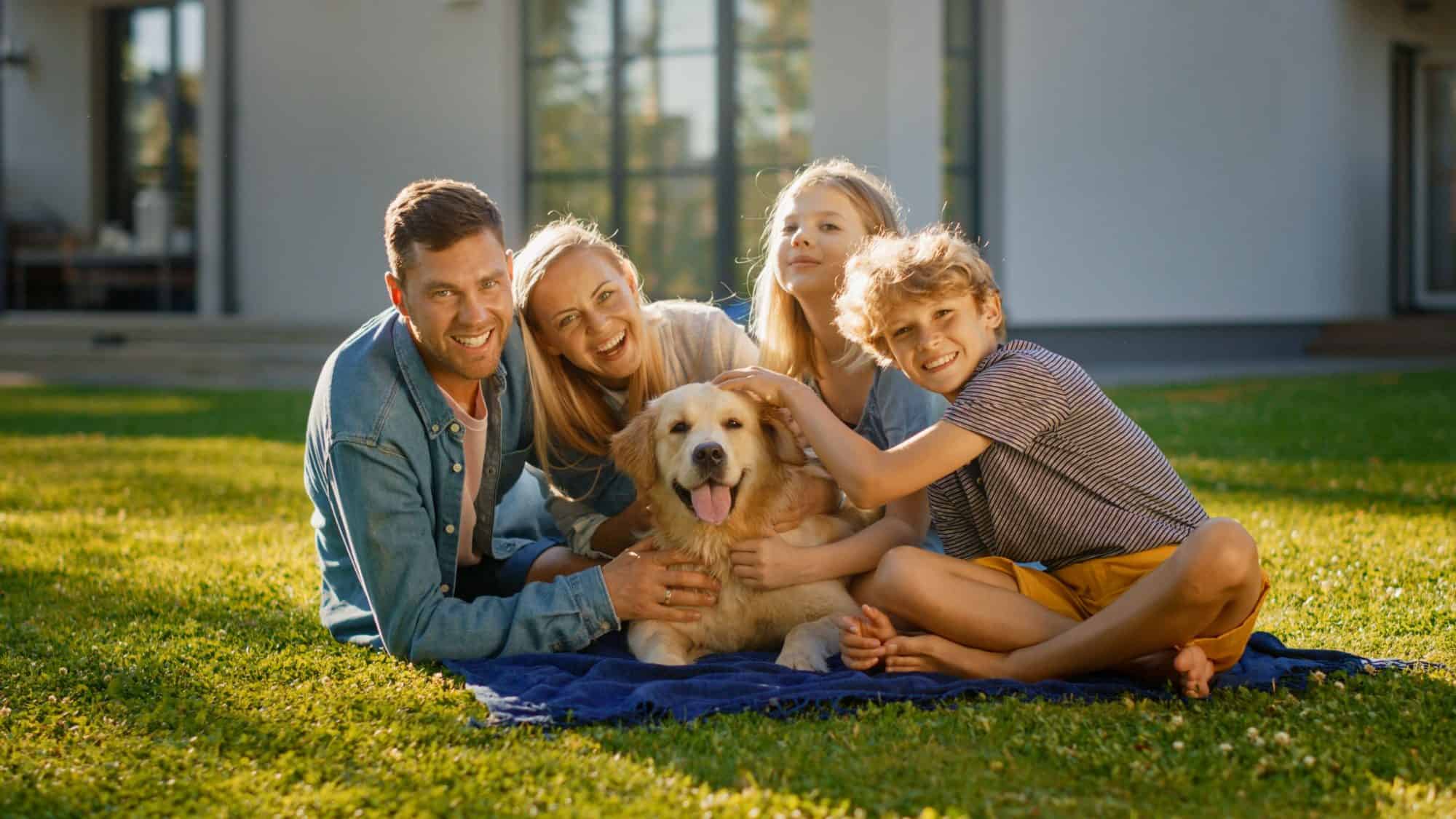 Veterinary care in Odessa, FL.