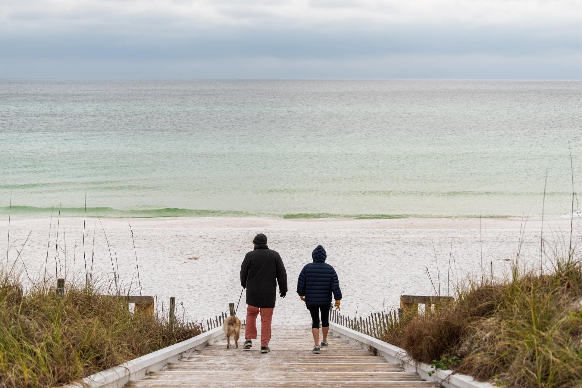 couple with dog walking on beach in sweatshirts.