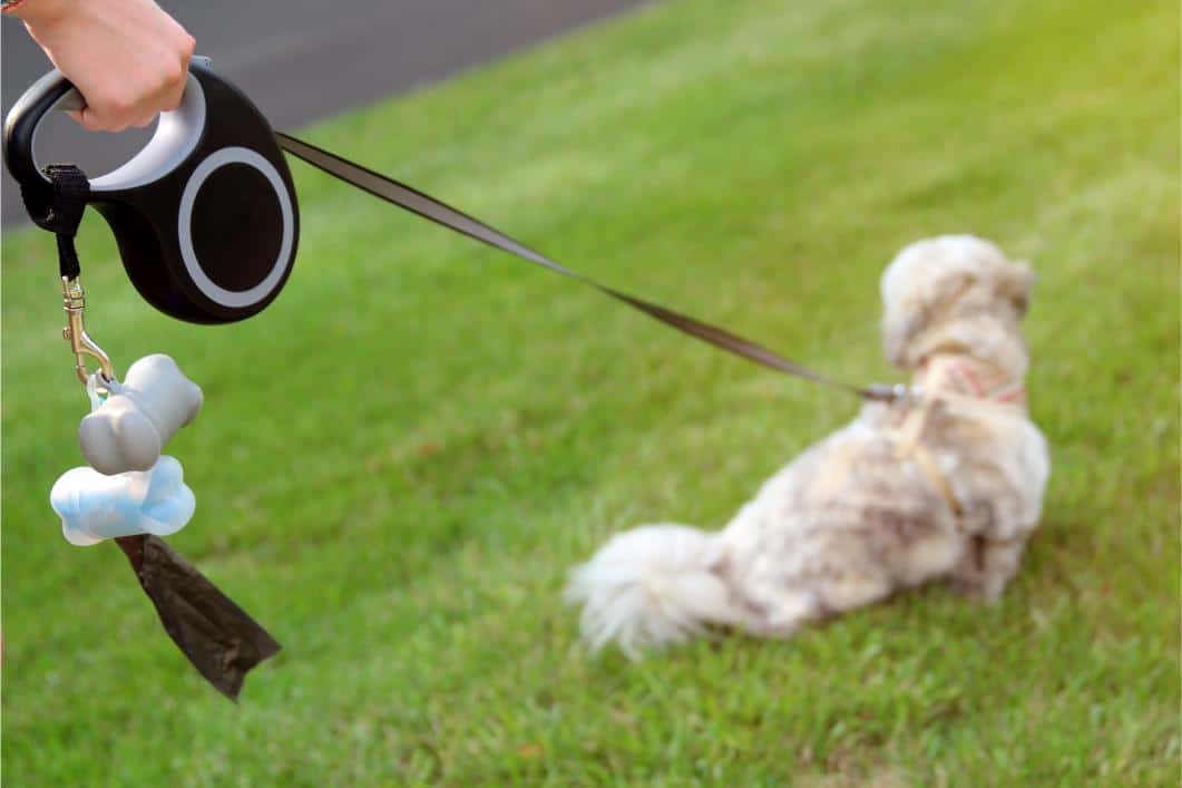 The Hidden Risks of Retractable Leashes