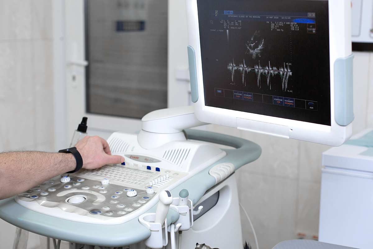 Pet diagnostic equipment Pet diagnostic equipment